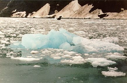 Ice Chunks from a Glacier
